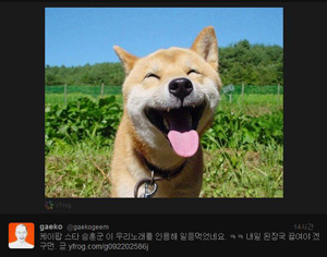 (사진.개코트위터)