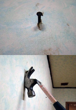 (사진.온라인 커뮤니티)