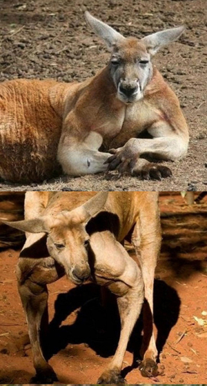 사진.온라인 커뮤니티 게시판