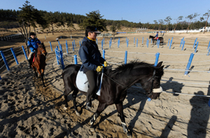 승마가 1인당 국민소득 2만~3만달러 시대를 대표하는 레저스포츠로 자리잡을 것으로 전망됨에 따라 전국 곳곳에서 승마장 건설 붐이 일고 있다. 하지만 대부분의 신생 승마장들이 적자 상태를 면치 못하고 있어 과잉 투자 논란이 일고 있다. 매일신문 자료사진