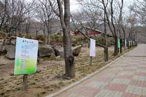 경상북도 팔공산도립공원관리사무소는 18일부터 가산산성 야영장 벚꽃길에 도내 유명작가로부터 엄선받은 시화(詩畵) 작품 50여 점을 전시한다. 경상북도 팔공산도립공원관리사무소 제공