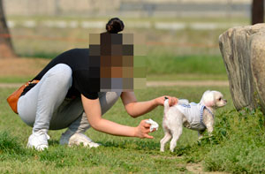 9일 대구 신천둔치에서 목줄을 매지 않은 애완견이 잔디밭을 뛰어다니다 배설을 하자 주인이 애완견을 붙잡고 배설물을 치우고 있다. 우태욱기자 woo@msnet.co.kr