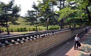 어릴적 고향집이 있었던 경주 황남동 미추왕릉 주변. 1960년대에는 왕릉 주변에 민가가 즐비했지만 사적지로 개발되면서 모두 철거됐다.