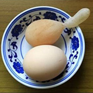 꼬리 달린 희귀 달걀 