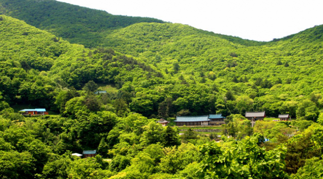 수도산 법전대에서 바라본 수도암 전경. 해발 1,080m에 자리한 수도암은 옥녀직금형 명당 터로 잘 알려져 있다. 수도산에서 뻗어 내려온 세 갈래 능선을 따라 선원이 자리한 곳으로 지기가 모이고 가람을 둘러싼 청룡