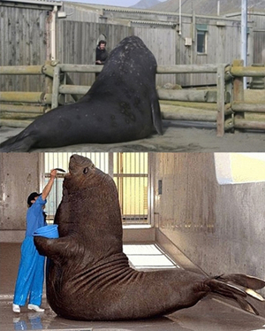최근 한 온라인 커뮤니티 게시판에는 
