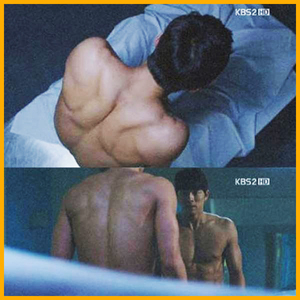 공유 나비등근육 