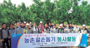 ▲농협중앙회 경북검사국 직원들은 5일 경산의 대추나무 과수원을 찾아 농촌일손 돕기에 나섰다.