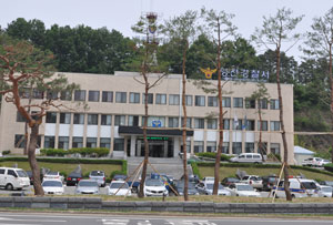 영천경찰서가 최근 정문 옆 담장을 허물고 소나무와 잔디를 심었다. 민병곤기자