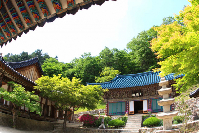 불교 강원으로 명성을 이어가고 있는 천년고찰 불령산 청암사. 하안거를 맞은 산사는 더욱 고요하고 적막하다.