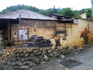 달성군은 달성군 화원읍 마비정 마을을 2013년 까지 녹색 농촌 체험 마을인 로하스 테마 마을로 조성한다.