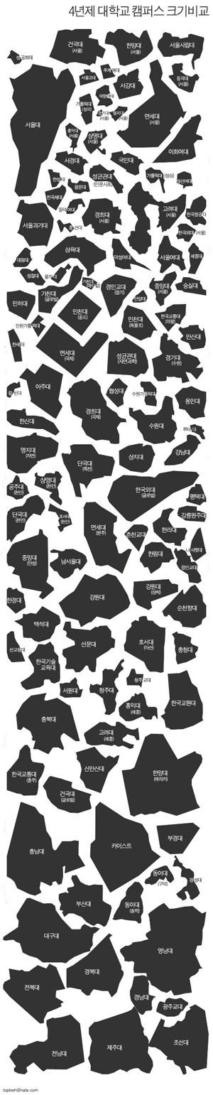 캠퍼스 크기 비교 