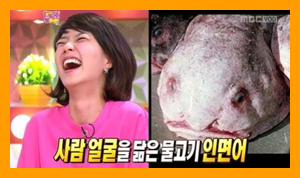 안영미 인면어 닮은꼴 