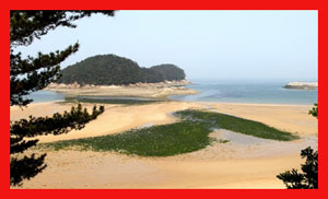 한반도 모양 섬 신기하네! 