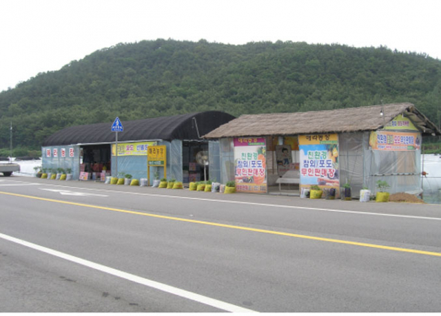 최근 참외밭 현장에서 직거래로 고소득을 올리는 농가가 있어 화제다.