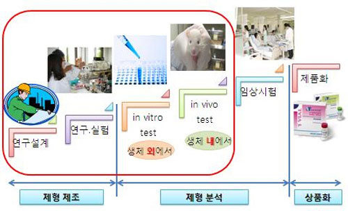 하나의 약이 만들어져 제품화되기까지의 과정.