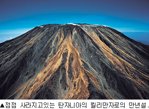 ▲점점 사라지고 있는 탄자니아 킬리만자로의 만년설.