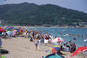 동해안해수욕장은 너른 백사장과 눈부신 푸른 바다가 펼쳐져 있고, 인근에 가볼만한 역사 유적도 풍부하다. 사진은 백사장이 풍족하고 모래가 고운 영덕 고래불 해수욕장.