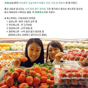 딸기의 진실 