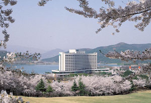 벚꽃이 피는 봄이면 신라CC 전코스는 장관을 이룬다. 벚꽃 속에서 보는 보문호의 광경은 골퍼들의 감탄을 자아낸다.