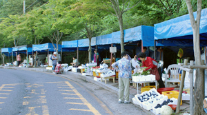 팔공산 순환도로 곳곳에 농민들이 운영하는 노점 상권이 형성되면서 팔공산 순환도로가 농민들과 소비자들을 이어주는 직거래 장터 역할을 하고 있다. 공산파출소에서 파계사삼거리로 이어지는 도로변에 자리 잡은 노점들. 중대1동 주민들이 운영하는 것으로 45개의 노점이 있다.