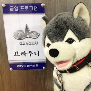 브라우니 특급 대우 