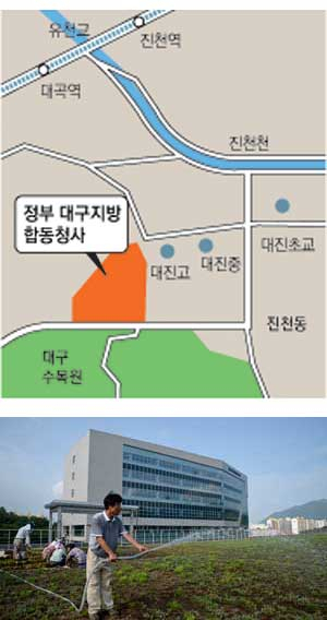 대구행정타운의 시초가 될 정부대구지방합동청사 준공(11일)을 앞두고 9일 달서구 대곡동 보금자리주택 택지지구 내 공공청사 업무동 4층 옥상에서 작업자들이 잔디를 가꾸고 있다. 우태욱기자 woo@msnet.co.kr