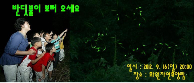달성군은 오는 16일 저녁 8시 화원자연휴양림 내 용문폭포 입구에서 