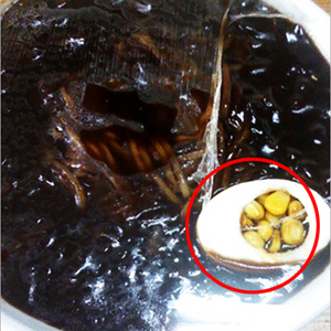 짜장면의 배신 노른자 대신 