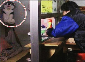 브라우니 12년 전 