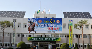 24일 영천시가 영천경마공원 조성사업 승인을 축하하는 대형 현수막을 시청 전면에 내걸었다. 민병곤기자