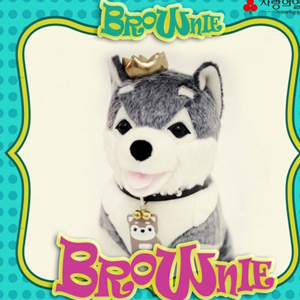 브라우니 앨범 발매 