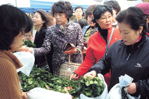 지난달 27일 추석을 앞두고 열린 토요직거래장터에서 주부들이 대거 구매를 하고 있다. 포항시 제공