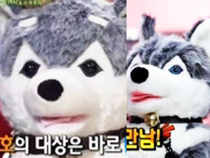 브라우니 겹치기 출연 