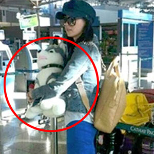 장백지 브라우니 출국 