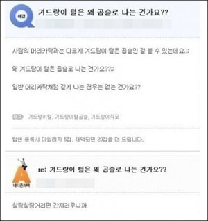 겨드랑이 털의 비밀 