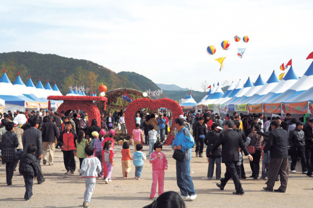9일부터 11일까지 3일간 일정으로 청송군 부동면 청송사과공원에서 2012 청송사과축제가 열린다. 지난해 축제장 모습.