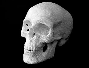 파비오 비알레 작-Skull