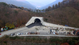 복원된 이화령. 행정안전부 제공.