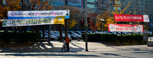 대통령선거를 앞두고 정당의 정책 홍보용 플래카드가 길거리에 넘쳐나면서 도시미관을 해친다는 지적이 나오고 있다. 우태욱기자 woo@msnet.co.kr