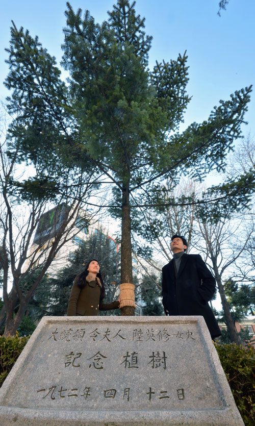 영남이공대 교정 내 육영수 여사가 직접 심은 전나무.