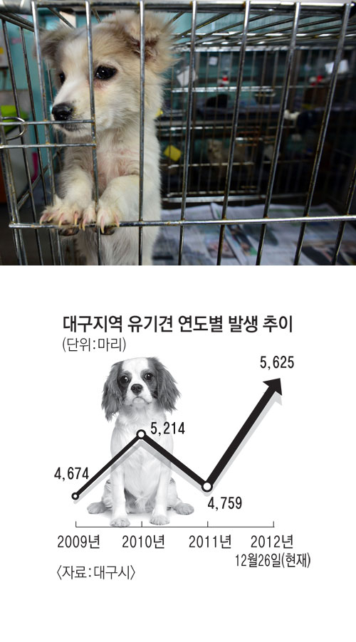 개의 유기를 방지하고 잃어버린 경우 동물등록 정보를 통해 소유주를 쉽게 찾을 수 있는 