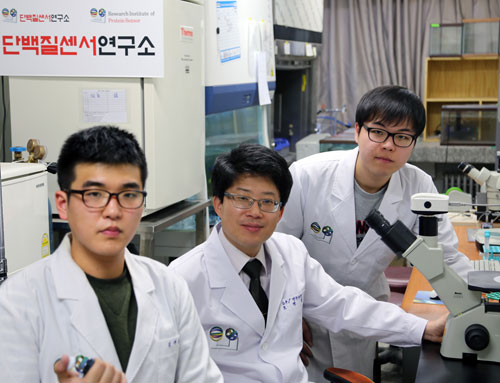 영남대 단백질 연구소 연구팀