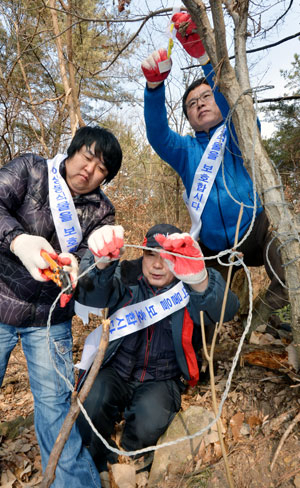16일 야생생물관리협회 대구 북구지회 회원들이 대구지방환경청 직원과 함께 북구 서변동 함지산 자락에서 불법으로 설치한 밀렵도구를 수거하고 있다. 환경청 관계자는 
