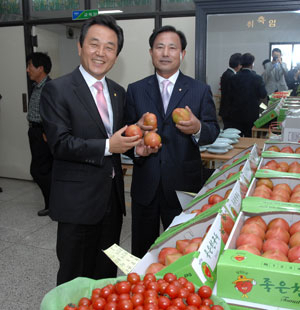 김문오(왼쪽) 달성군수와 허건 논공농협 조합장이 논공토마토 홍보에 나서고 있다.