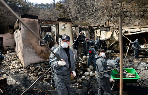 포항 산불 피해 지역에 대한 복구가 시작된 11일 북구 용흥동 우미골 마을에서 시공무원들이 불에 탄 가옥의 잔해와 쓰레기를 치우고 있다. 우태욱기자 woo@msnet.co.kr