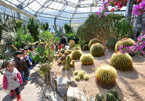 대구수목원을 찾은 어린이들이 선인장 등을 구경하고 있다. 정운철기자