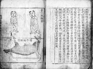 제영신편(1889년 이재하가 대구에 우두국을 설치하고 편찬, 간행한 서적)
