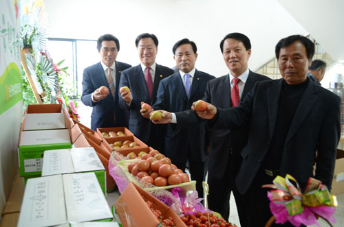 논공농협 허건(중앙) 조합장을 비롯한 관계자들이 올해 토마토 공동출하 촉진대회를 열고 있다. 논공농협 제공