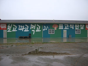 벽면 전체에 